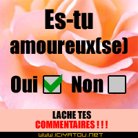 tu maime ou tu maime pa laisse ton comentere